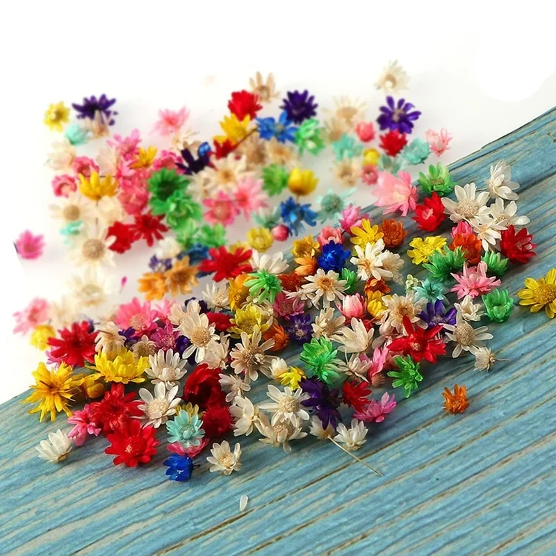 100/200pcs Dried Flowers Filler Little Star Flower DIY Art Craft Epoxy Resin Mold Jewelry Aromatherapy Candle Making