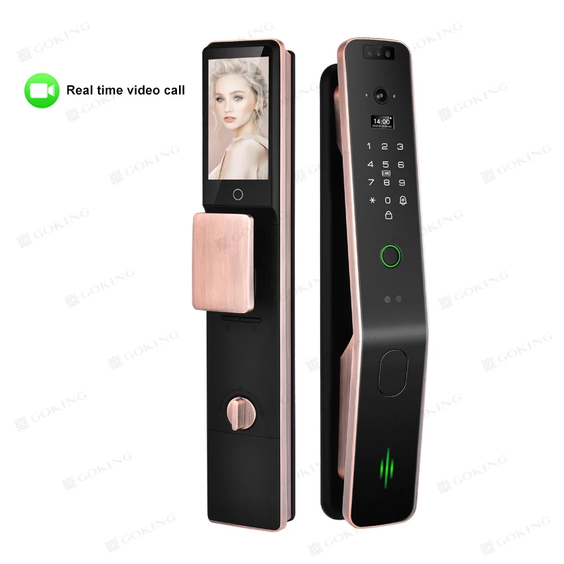 Goking Face ID Video Call Outdoor Gate Lock Cerradura Inteligente Smart Home Security Biometric Fingerprint Door Lock With Came