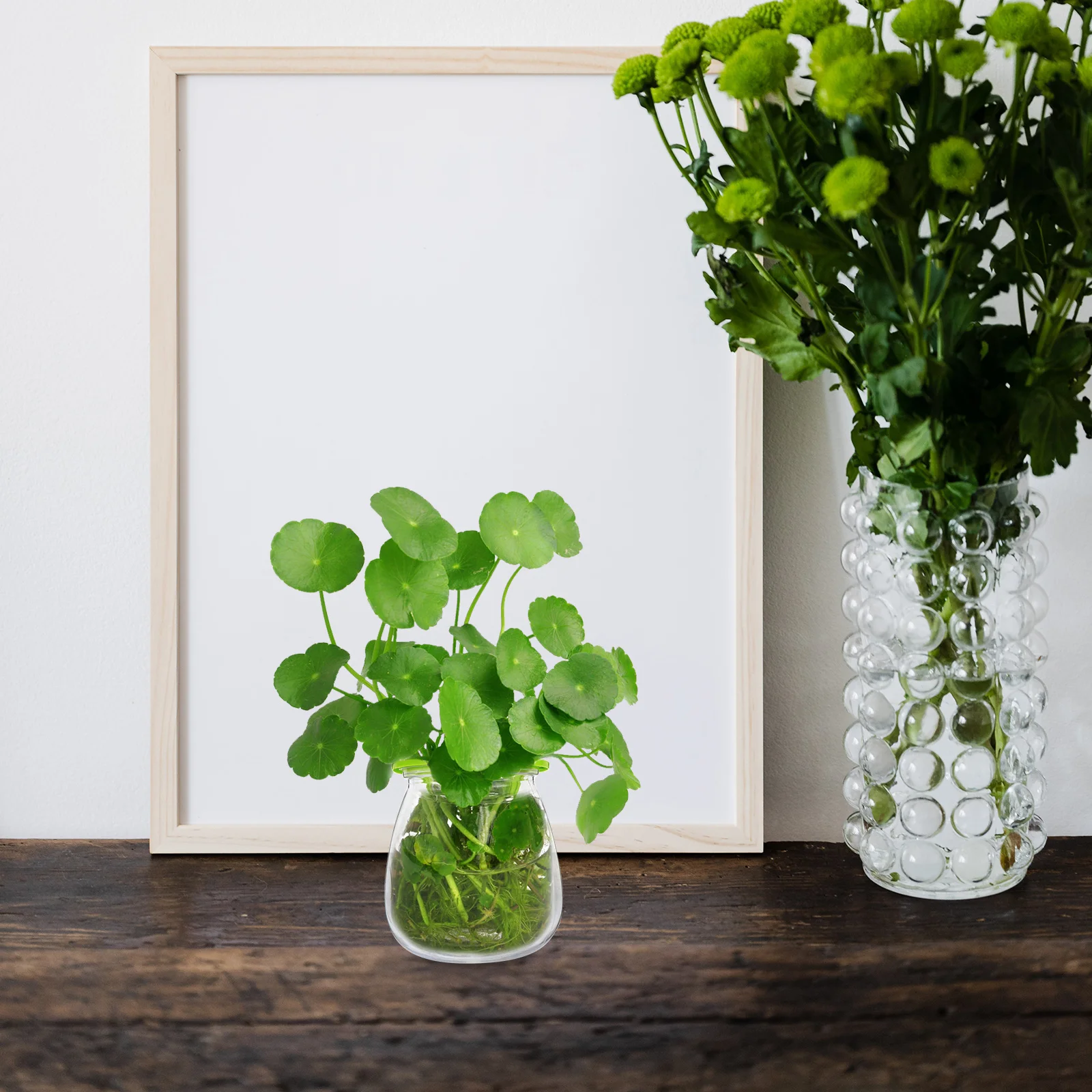 

5pcs Hydroponic Flower Pot Transparent Vase Clear Desktop Planter Plastic Container Floral Arrangement Nursery Durable Simple