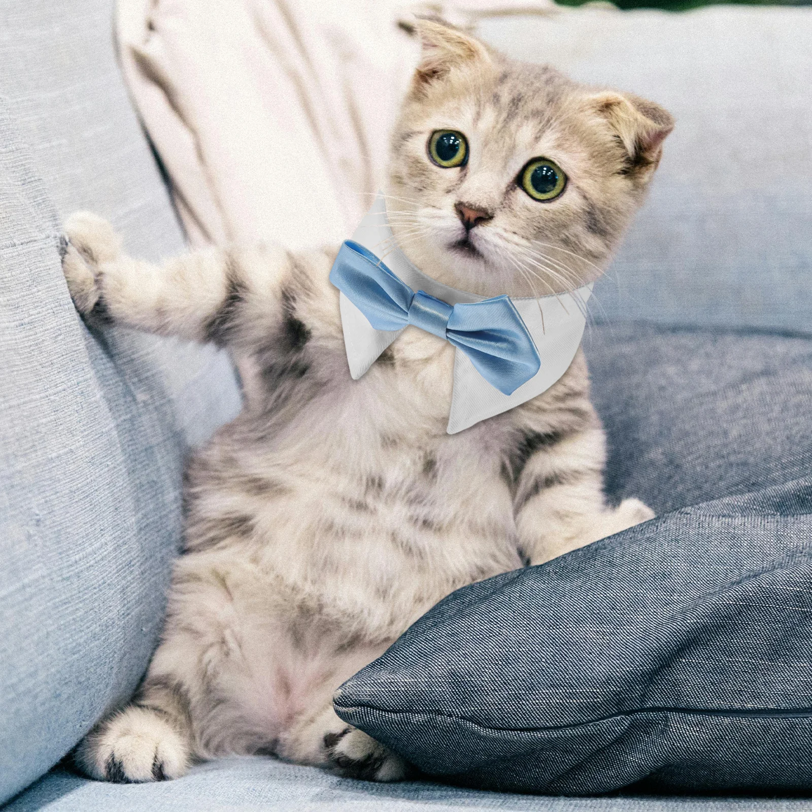 

Pet Collar Adjustable Dog Bow Tie S Size Lightweight Portable Cat Supply Decorative Kitten Outdoor Birthday Gift Cartoon Pet