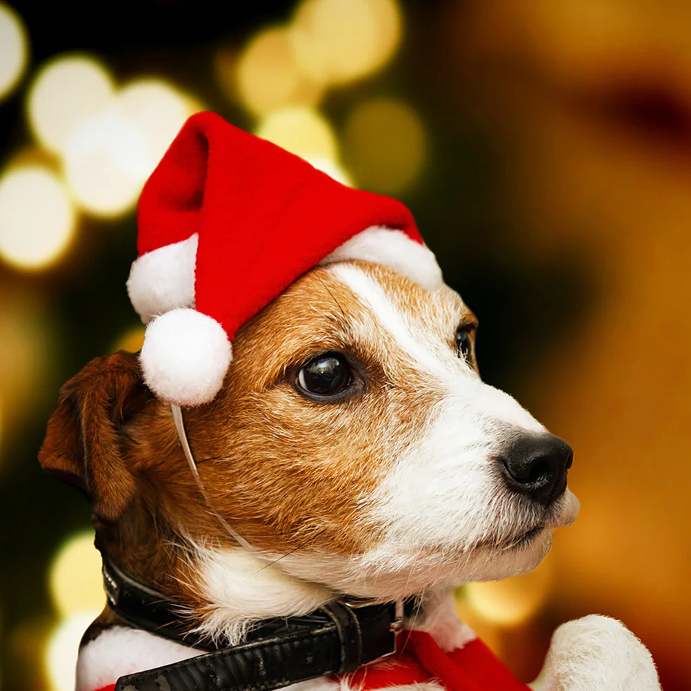 

4 Pcs Pet Santa Hat Christmas Hats for Dogs Headwear Accessories with Pets