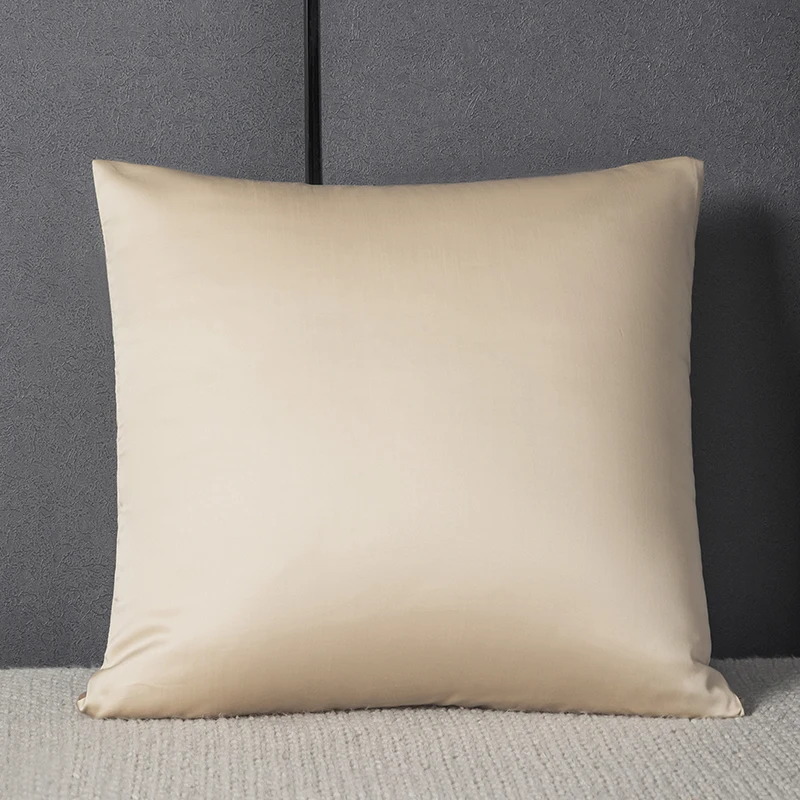 Mulberry Silk Cushion Cover Zipper Pillowcase Silver Lon Infused Silky  Decorative Pillowcase Sofa Cushion Cover No Core