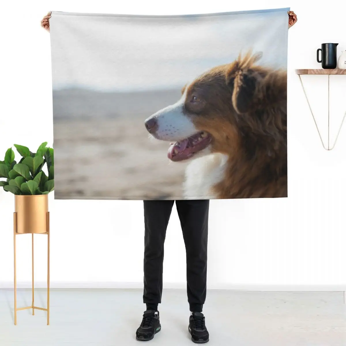 Australian Shepherd At The Beach Throw Blanket Bed linens Thin Sofa Quilt Beautifuls anime Large Blankets