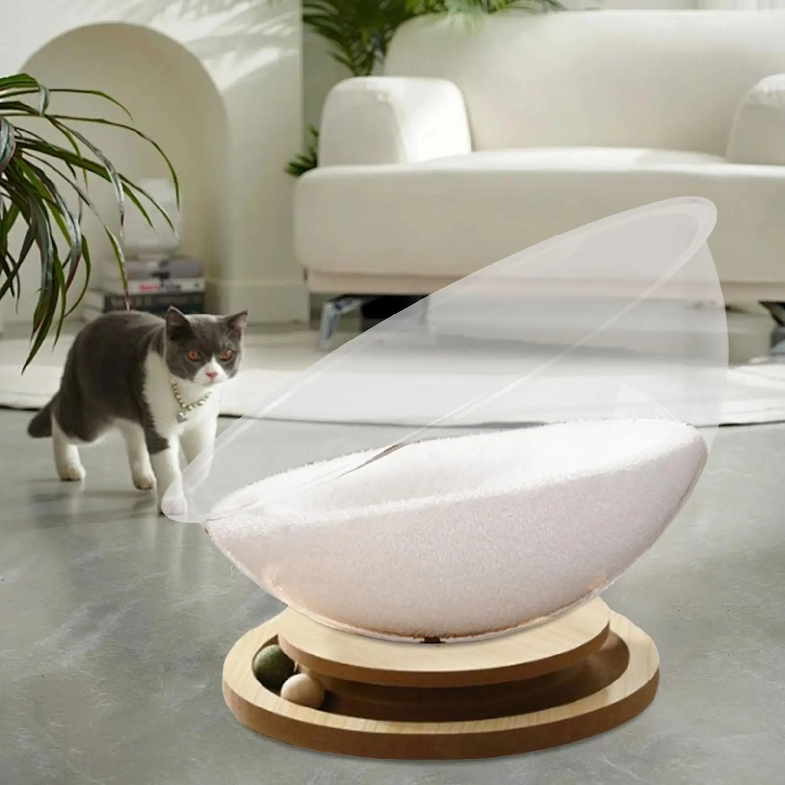 Wooden Cat Bed Transparent Capsule Hammock Detachable Lounger Bedding for Cat Accessories Cat Room