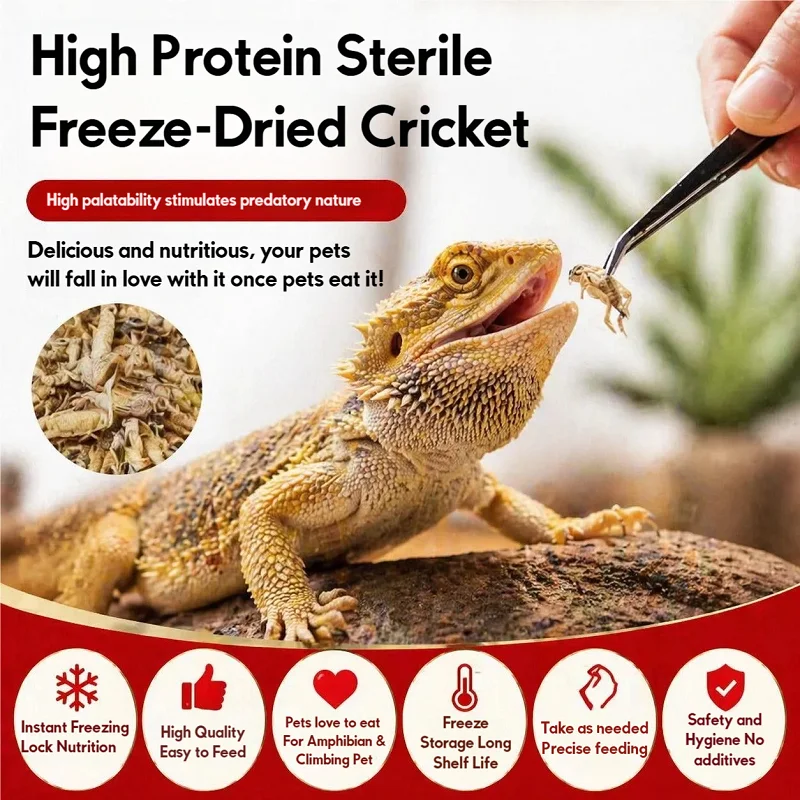 High Protein Sterile Freeze-Dried Cricket Arowana Fish Food Amphibian Food For Saurichthys,Hamster,Reptile,Turtle, Tree Frog