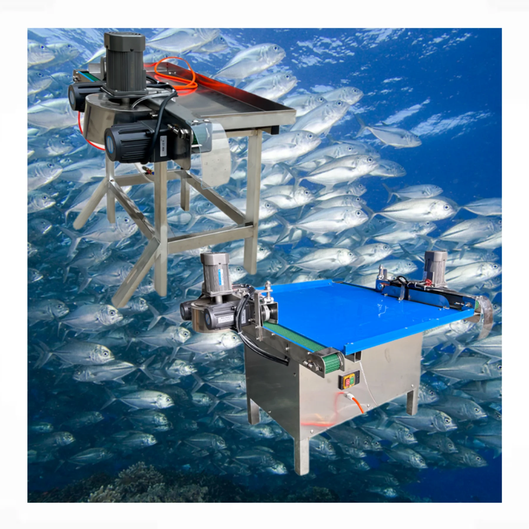 Fully Automatic Small White Commercial Fish Killing Machine Electric Fish Breaking and Gutting Machine for Fish Processing