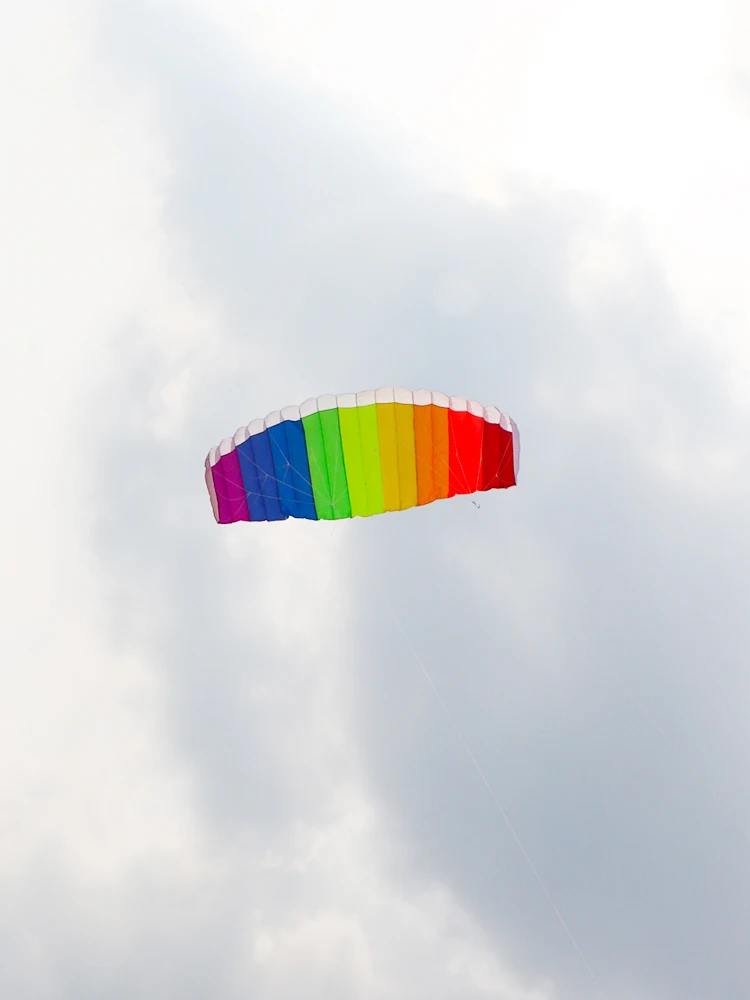 Paradise Bird 2,5 m doble línea acrobacias deportes cometa suave parafoil cometa Surf volando deportes al aire libre cometa juguetes al aire libre Kiteboard fábrica