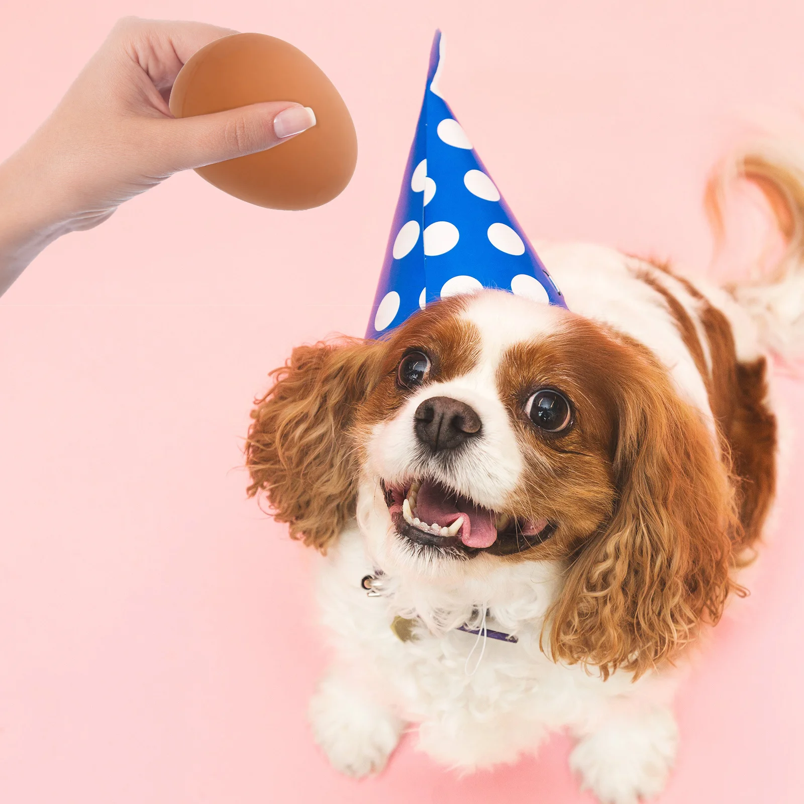 

5Pcs Simulation Eggs Bounce Ball High Quality Pet Chew Ball for Dogs Puppies Interactive Play Dog Simulation Eggs