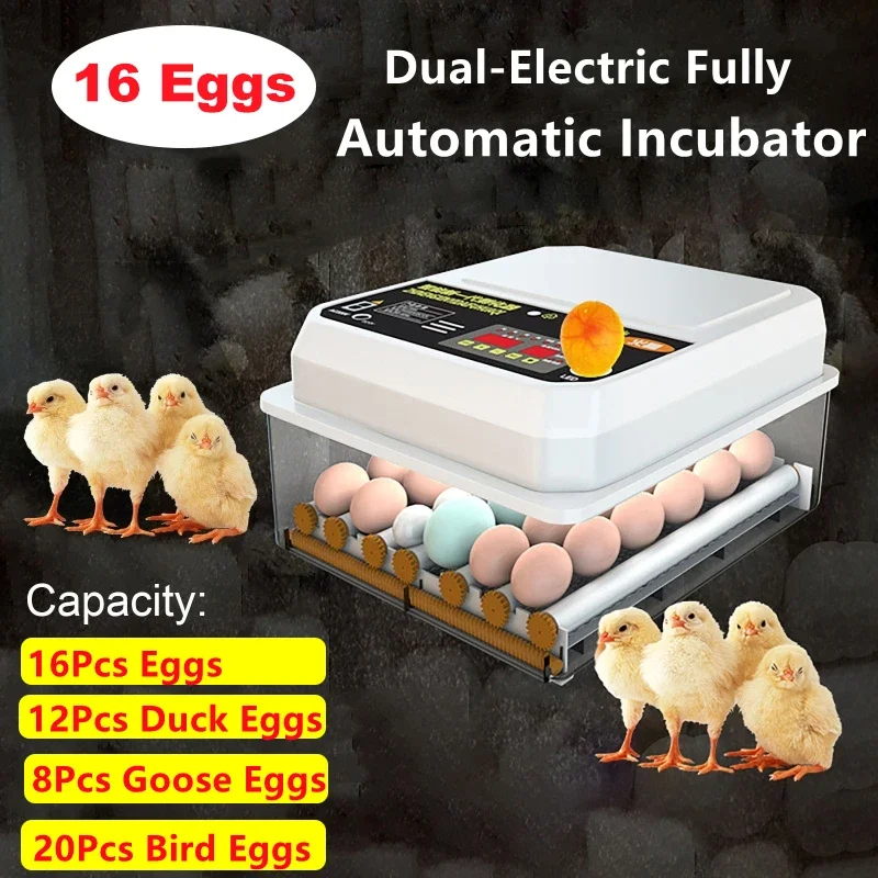 

Household 16 Eggs Incubator Fully Automatic Turning Hatching Brooder Farm Incubation Tool for Bird Quail Chicken Poultry Hatcher