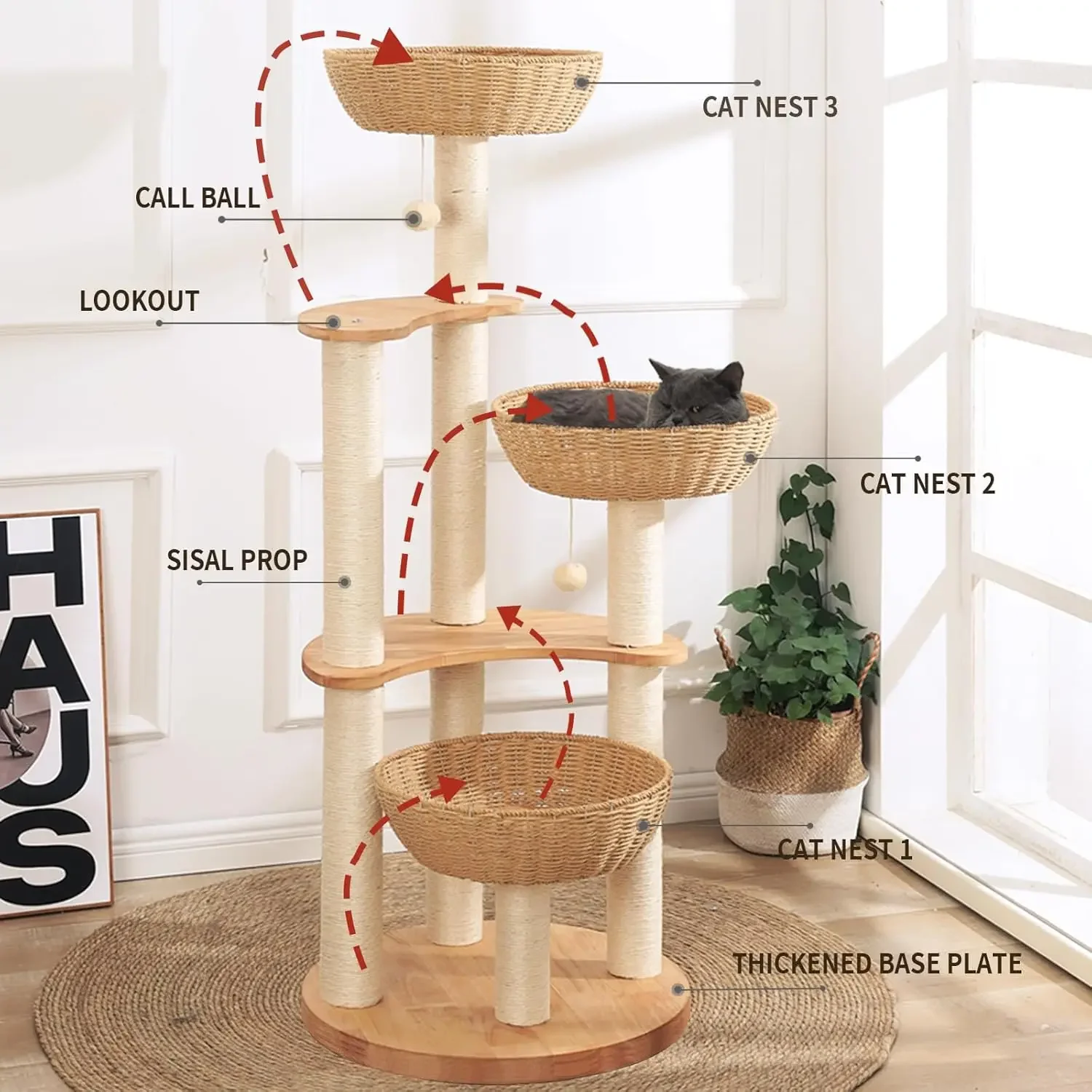 Arbre à chat pour plusieurs grands chats