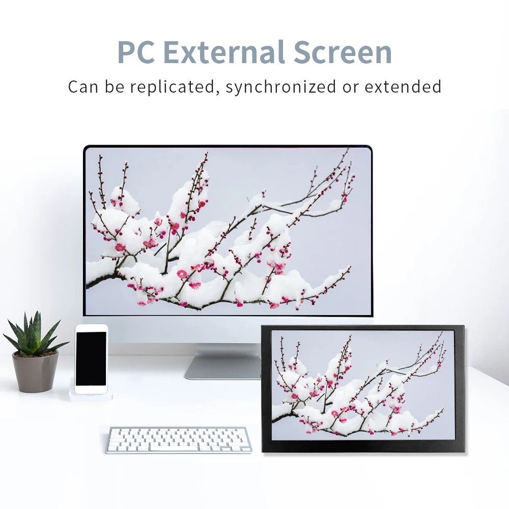 EM513 5inch HD monitor without touch panel 1024*600 high pixel 100%sRGB display IPS module for MINI PC laptop RPI 3/4/5