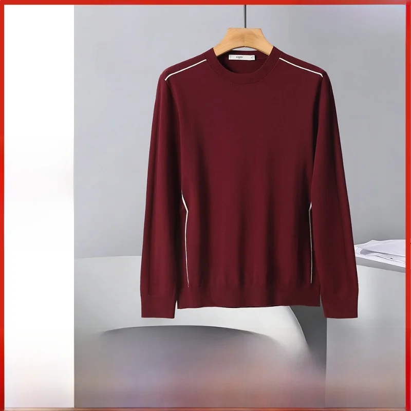 Camiseta de Manga Longa Tricotada com Gola Redonda Dragon Fly, Nova Chegada, Moda Casual para Jovens, Primavera e Outono
