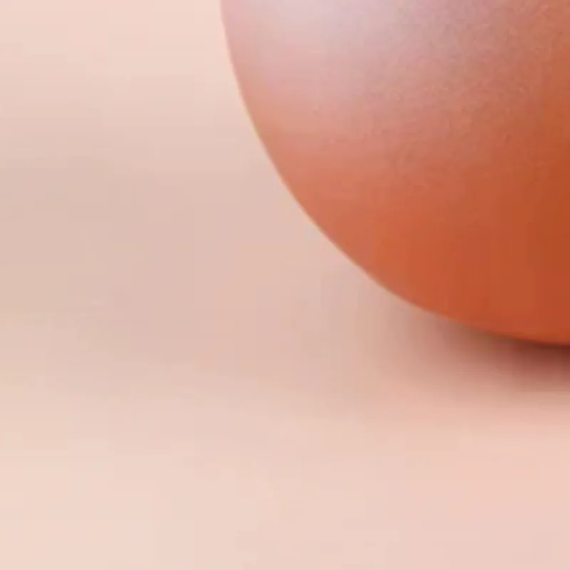 

Dog Egg Keychain Creative Cute Dog Decoration Toy Keychain Car Phone Bag Pendant Gift Ornament