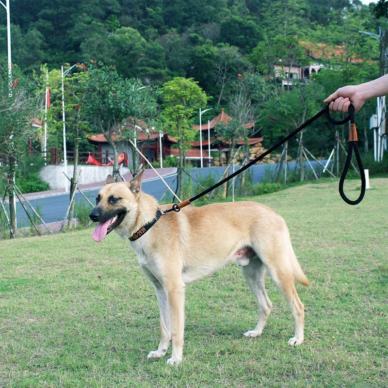 Collar de nailon para perros, correa de 5M de largo para mascotas, perros medianos y grandes, cachorros, entrenamiento para caminar al aire libre, natación, correas para perros