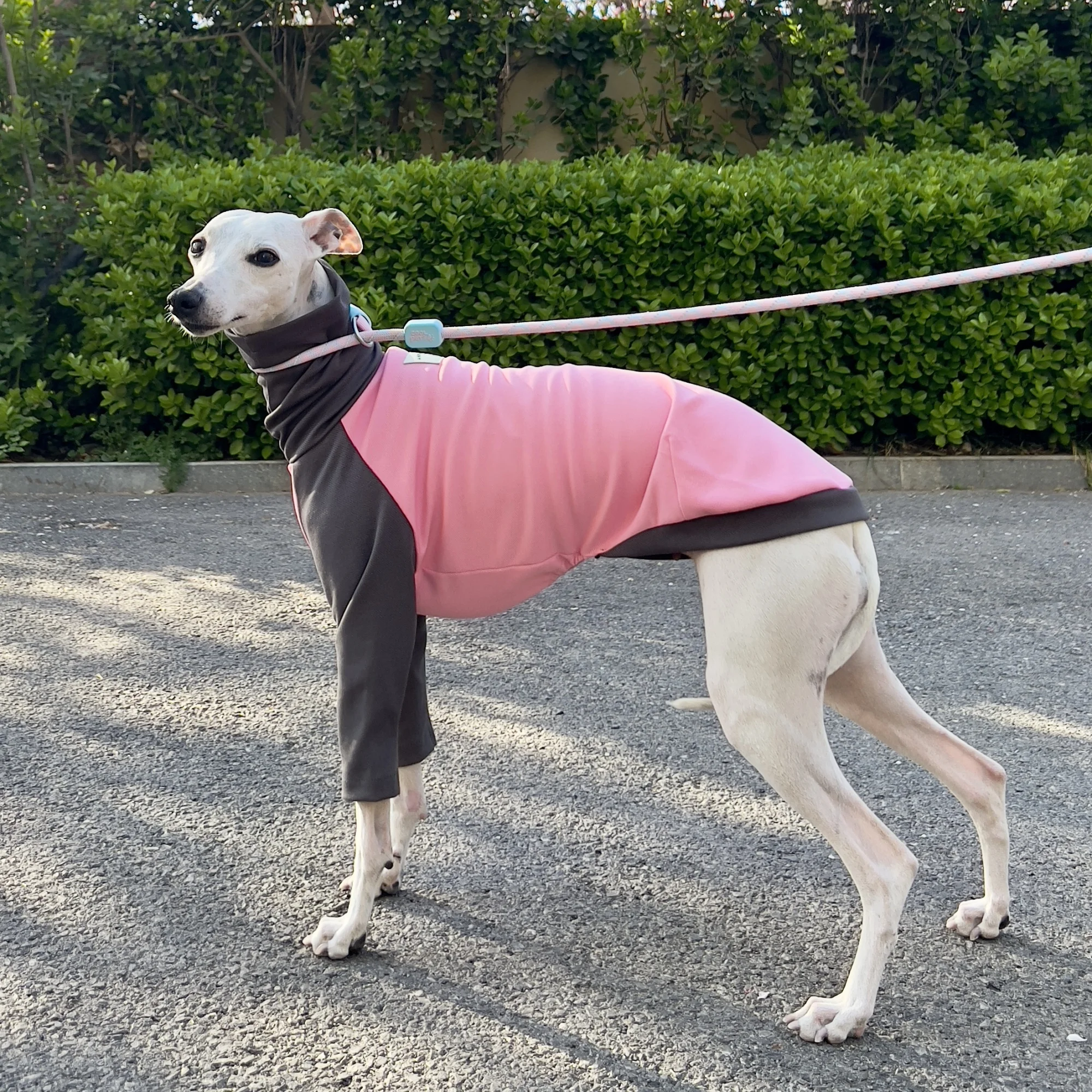 Mid Dog Clothing Spring Summer High-Neck T-Shirt for Greyhound Soft Long Sleeves Cotton Pajamas Pink Coffee Coat for Whipbit