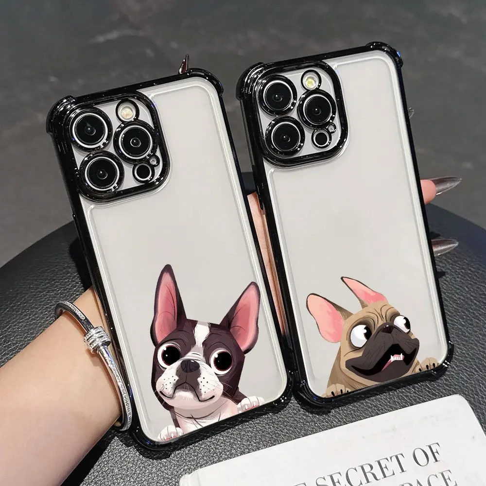 Boston Terrier Pug …