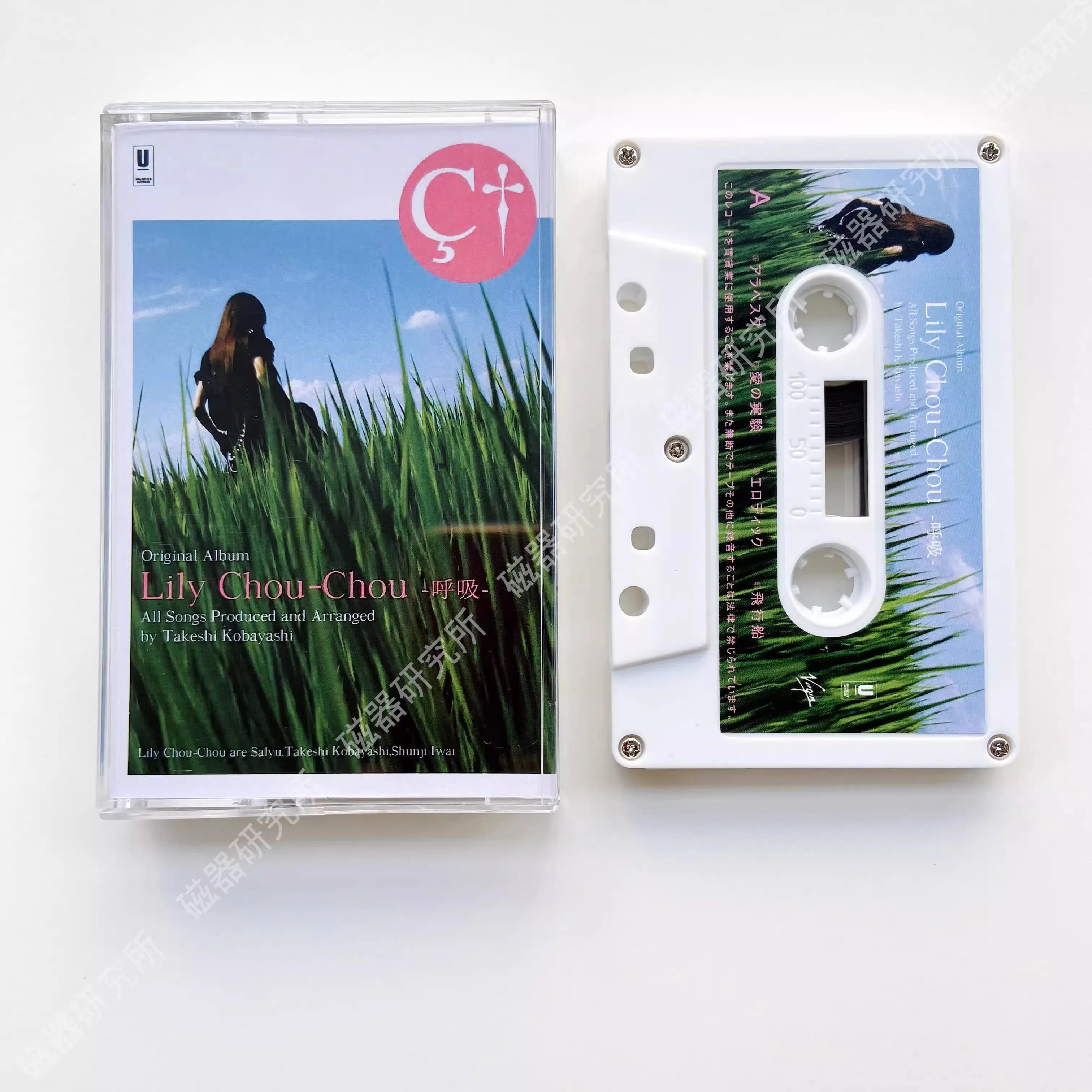 Película Shunji Iwai todo sobre Lily Chou-Chou Salyu cinta musical respirar álbum Arabesco casetes Cosplay Walkman caja de rastas sonoras