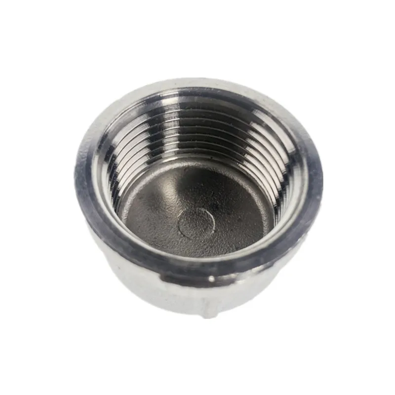 Cap Vrouwelijke Rvs SS304 Geneste Pijp BSP