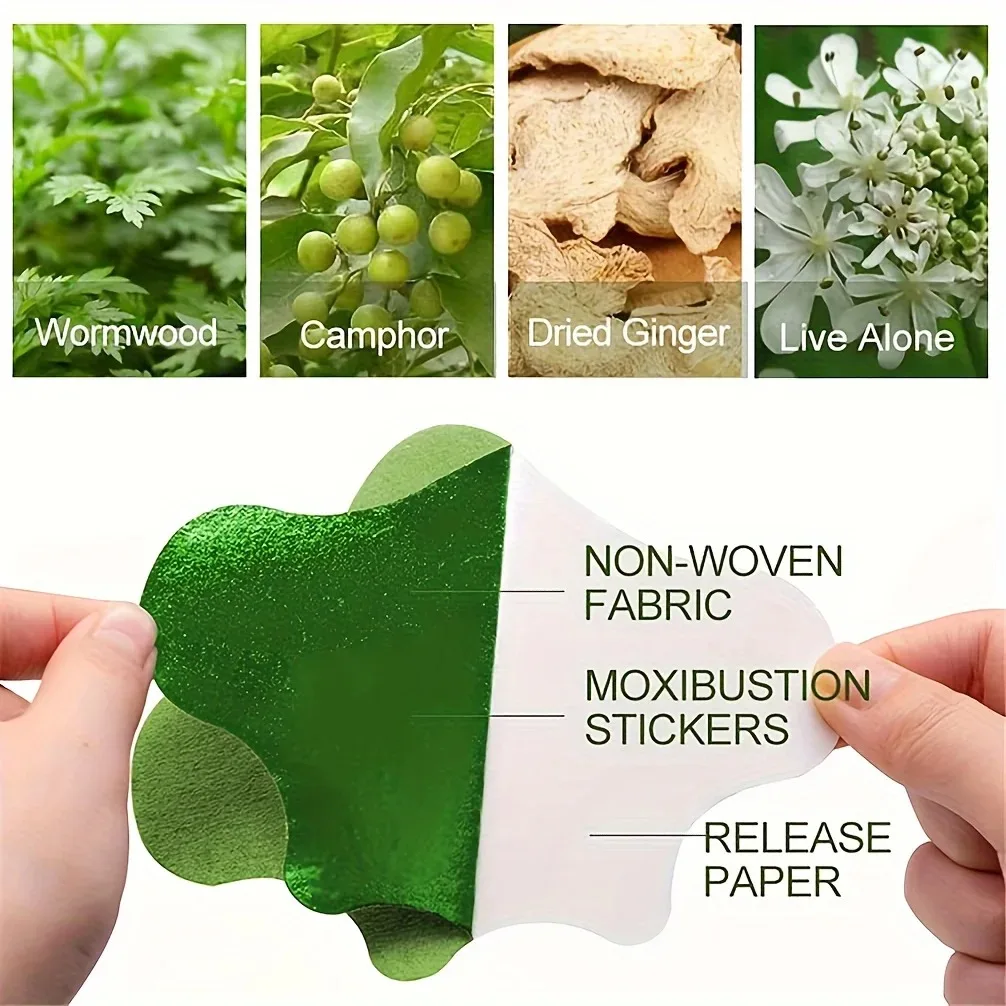 12pcs Herbal Heat Patches: Long-Lasting for Arthritis, Inflammation & Back Pain! image 4