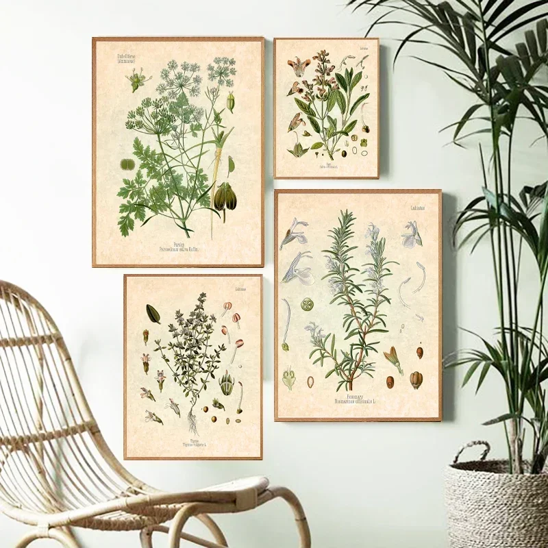 Póster botánico Vintage con estampado de hierbas y especias, cuadro artístico de pared, pintura en lienzo, perejil, salvia, romero, tomillo, cocina culinaria