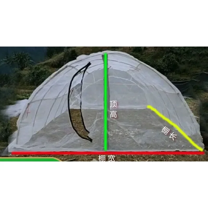 Grasshopper Arch  Locust with Shoulder Height Arch  Wasp Square Arch Mesh Grasshopper Mesh Gauze