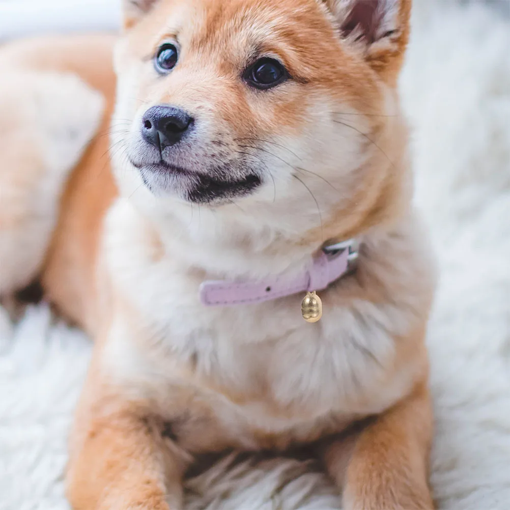 

6Pcs Delicate Dog Collar Bells Stylish Pet Collar Charms Crisp Sound Copper Bells for Cats Puppies Decorations DIY Hanging Use