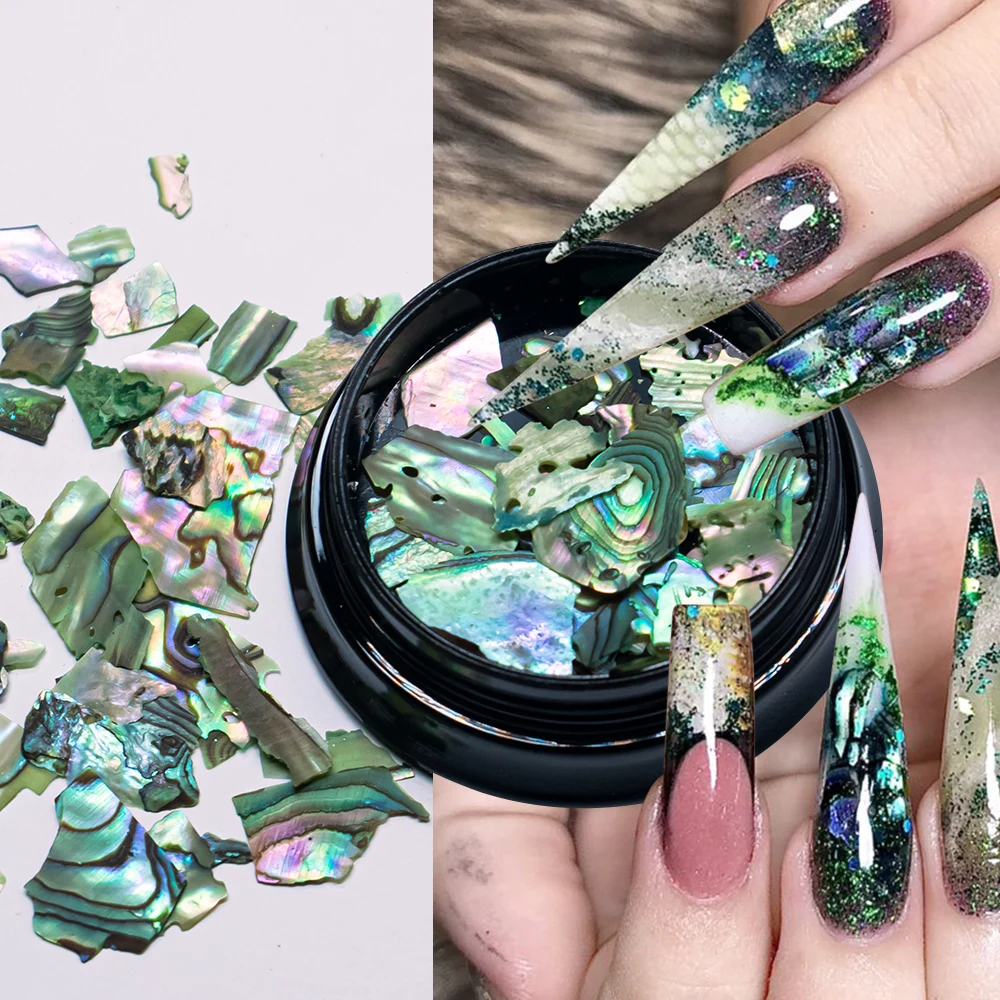 12 Colors Aurora Shell Flakes Nail Art Charms 3D Irregular Seashell Slices 1jar Abalone Glitter Flakes Nail Art Decorations Y2K