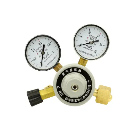 

Nitrogen Pressure Reducing Valve YQD-05j All Copper Pressure Gauge Nitrogen Pressure Regulating and Reducing Valve