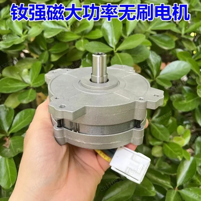 High Power Strong Magnet Brushless Motor 400W Multi Voltage Mechanical Power Motor