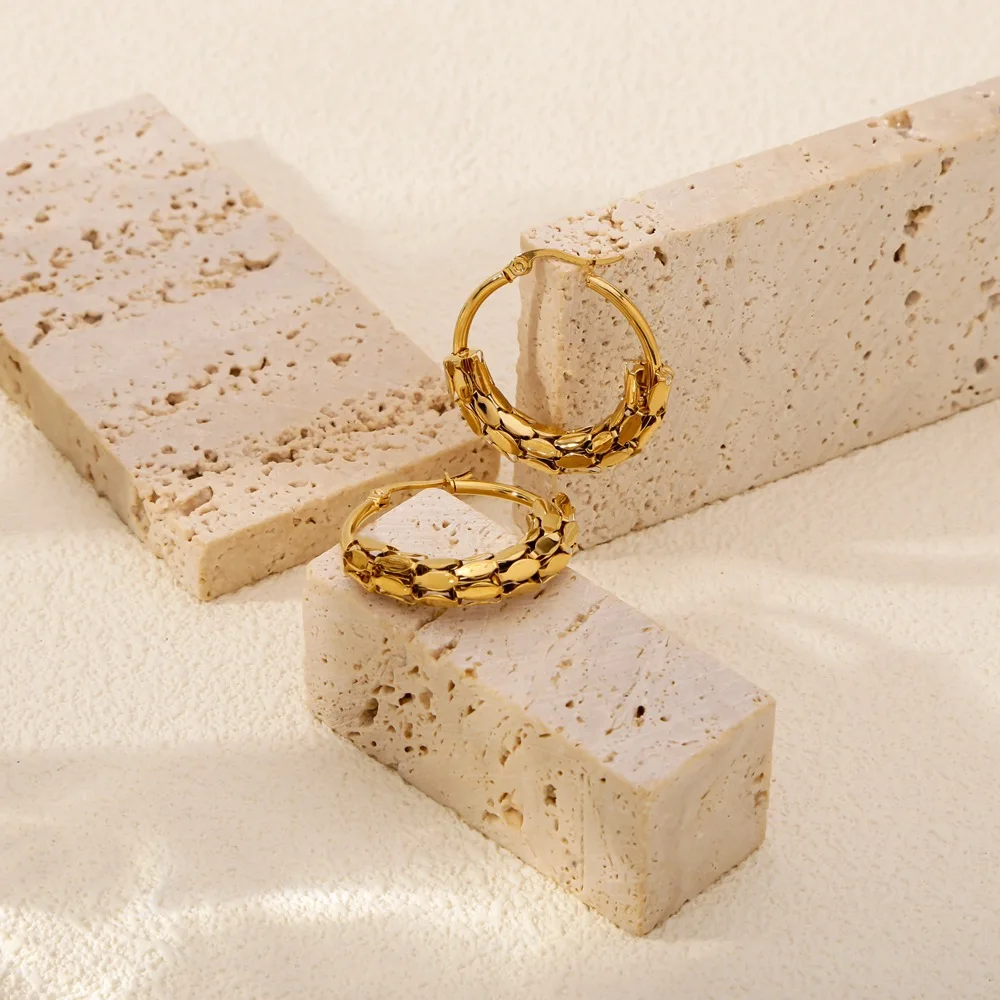 Modieuze roestvrijstalen ronde oorbellen voor vrouwen Hiphop overdrijving Metalen slangenschaal Holle hoepel oorbellen Dame sieraden