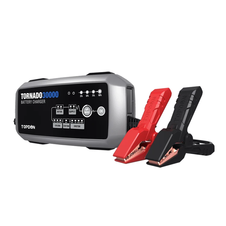 TOPDON T30A (Tornado30000) 12V 30A / 24V 15A Smart Charger, 6V/12V/24V Automatic Intelligent Heavy Car Truck Charger 120Ah