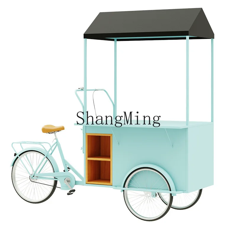 ZYY Outdoor Mobile Vending Truck Mobile Stall Tricycle Food Promotion Display Car