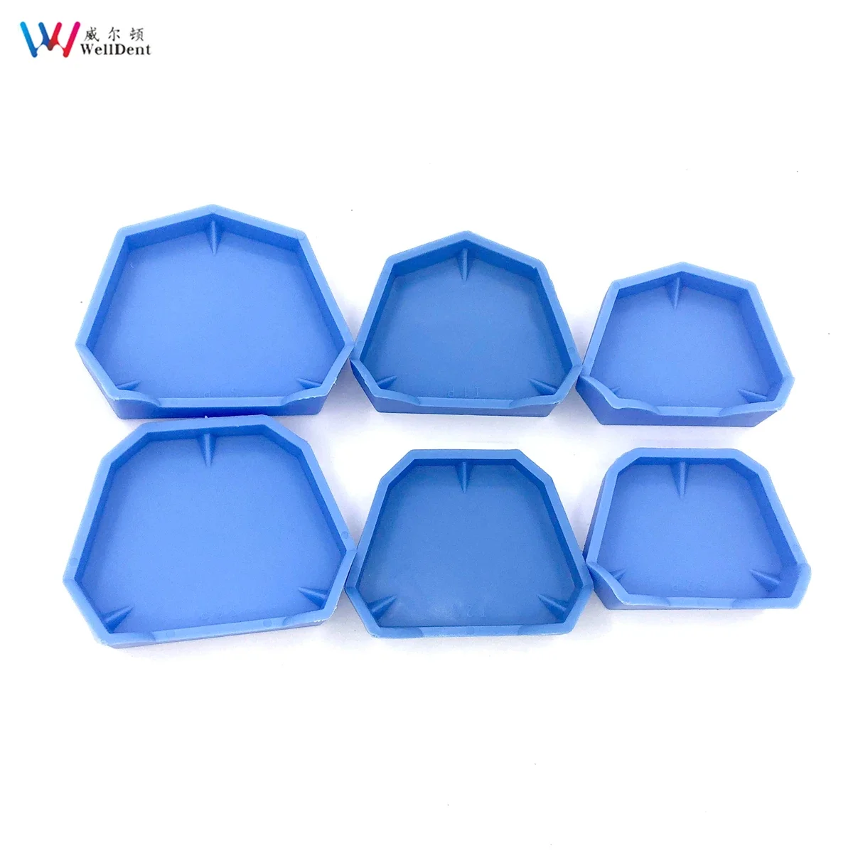 6Pcs/set Dental Model Base Set Dental Mold Plaster Base Denture Tray Oral Hygiene Care Dental Lab Former Base Kit for 3 Sizes