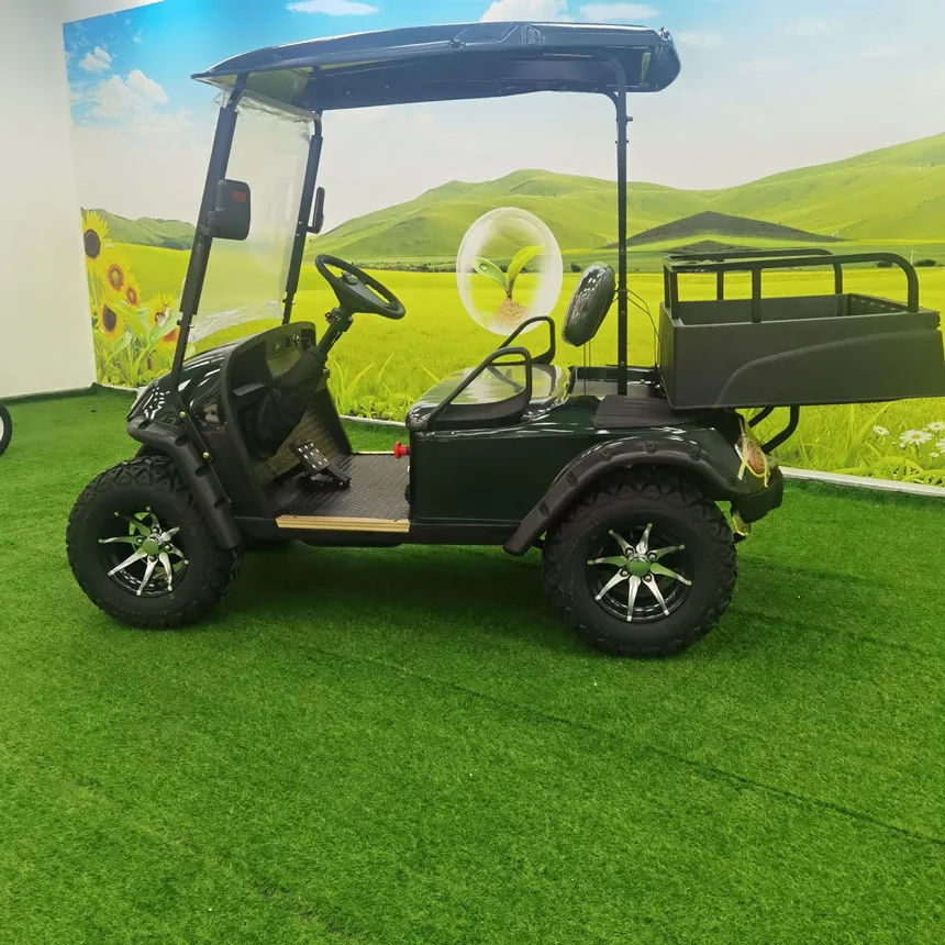 2024 New Battery Powered Electric 4wd 4x4 Off Road Vehicle/Golf Cart Price 4 Passenger Electric Cars