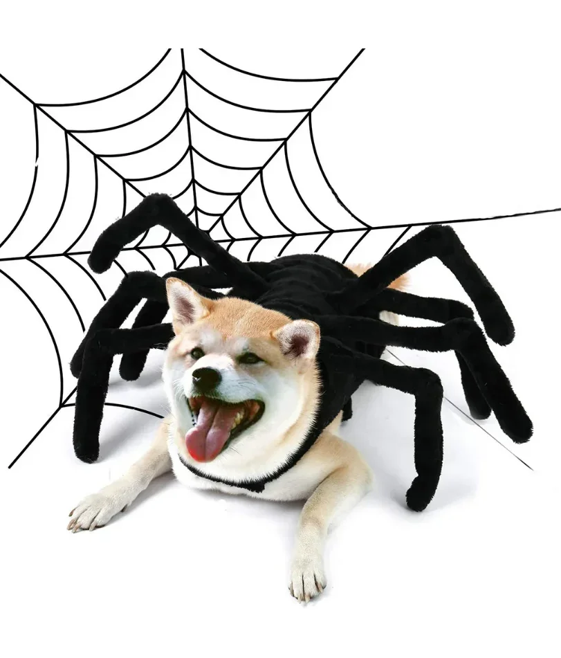 Pet Halloween Funny Spider Chest Back Creative Cat Small Dog Transformation Costume Halloween Party Festival Decoration Cosplay