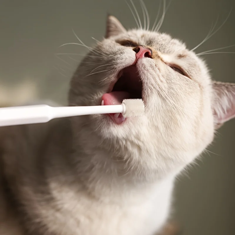 Soft Bristle Pet Dental Toothbrush for Cats and Dogs, Tartar & Bad Breath Removal, Plastic Easy-Clean Oral Care Tool, No Battery