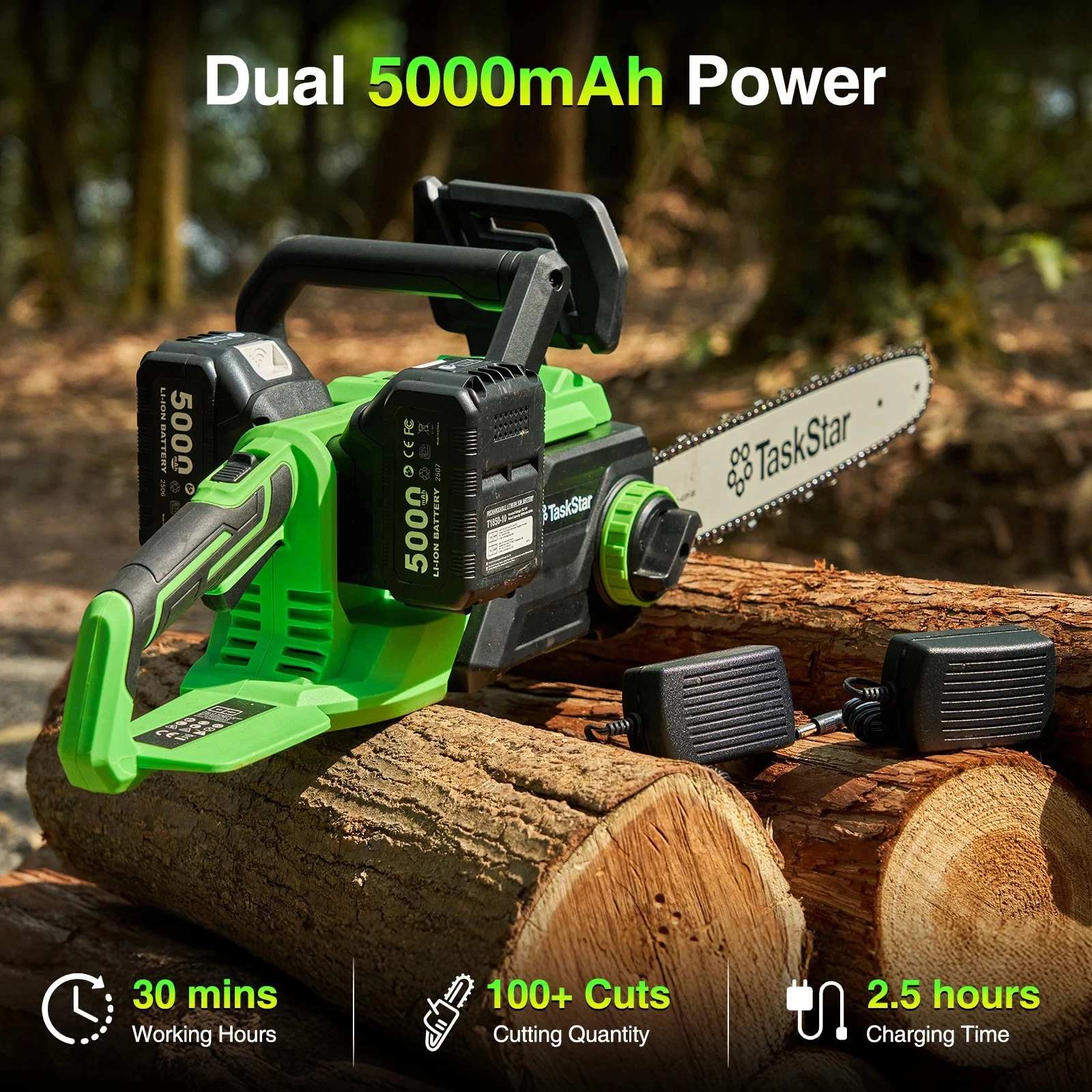 TaskStar 40V Brushless Electri - đánh giá và giá Woodworking And Carpentry