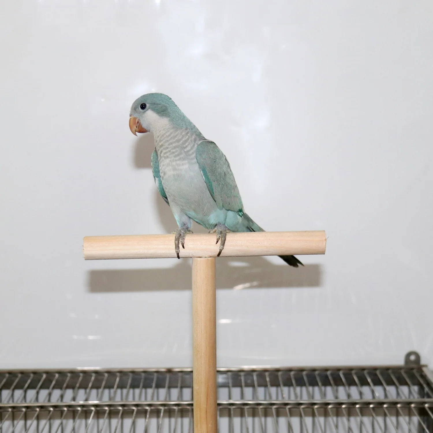 Parrot toy stand stick stand pole T-shaped bird stand stand perch bird toy bird cage accessories bird supplies