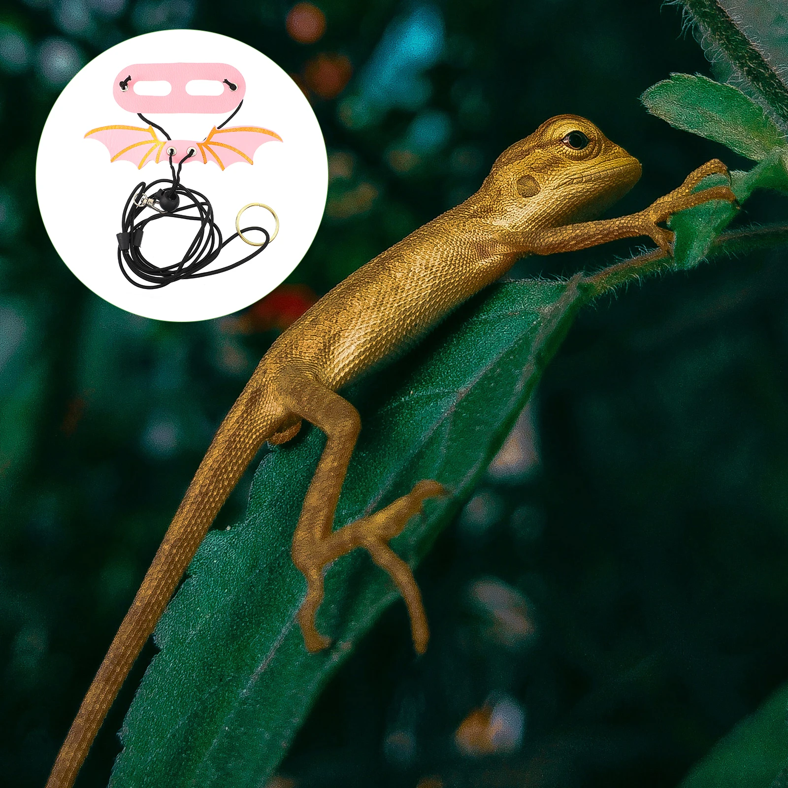 

5 Pcs Lizard Leash Outdoor Gecko Wing Harness Hammock Reptile Pet Walking Accessories Set