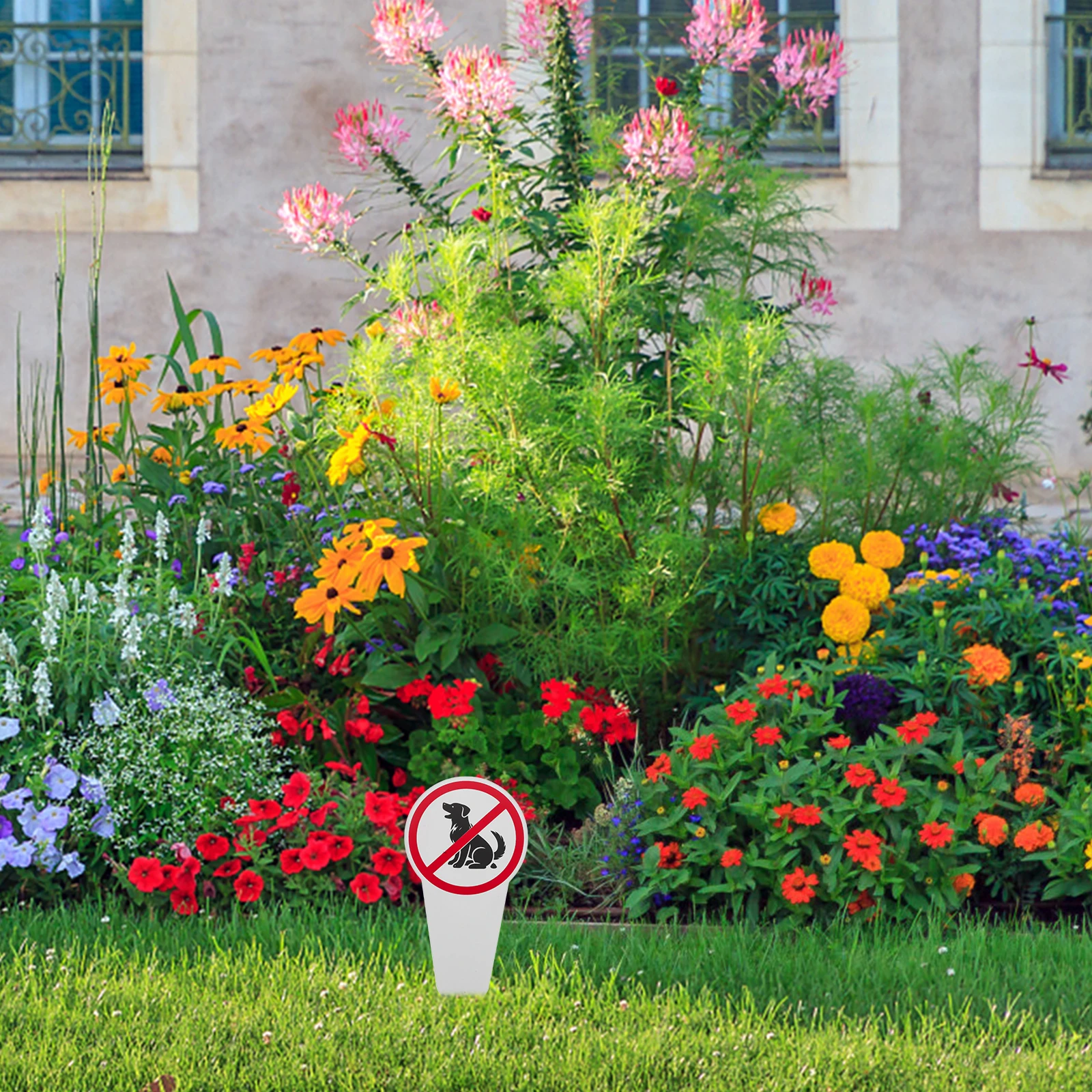 

2Pcs No Pooping Dog Sign Durable Aluminum Garden Yard Stakes High Visibility Pet Waste Warning Signs Outdoor Decor