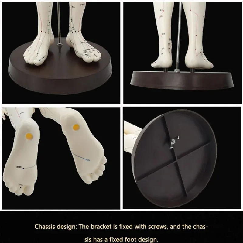 Female / Male Acupuncture Model 50cm with Chinese Points & Base PVC Human Body Acupuncture Model Acupuncture Point Model