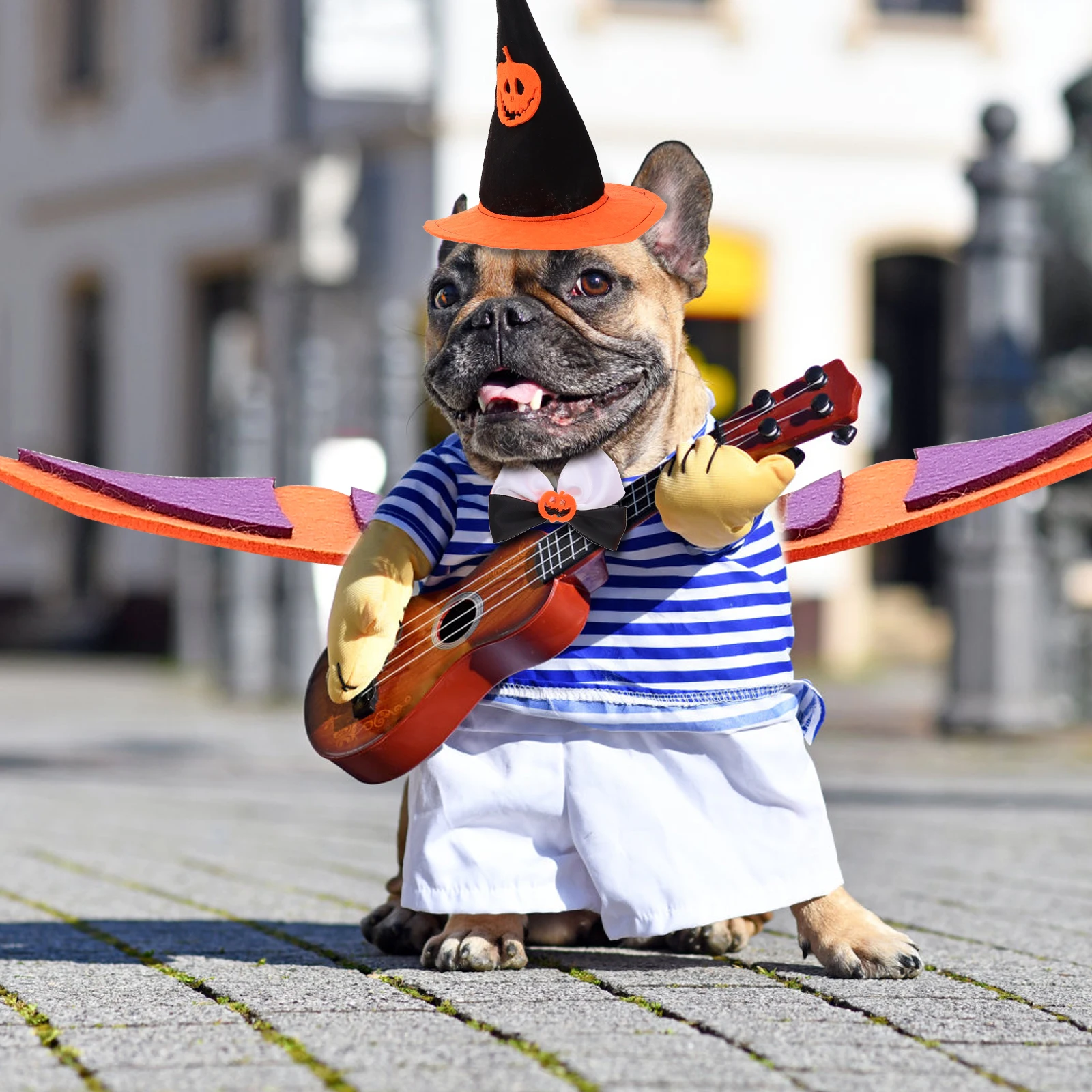 

Halloween Pet Hat Bat Wings Pumpkin Cap Reusable Washable Adjustable Size Costume Decor Dog Jacket Festival Suits