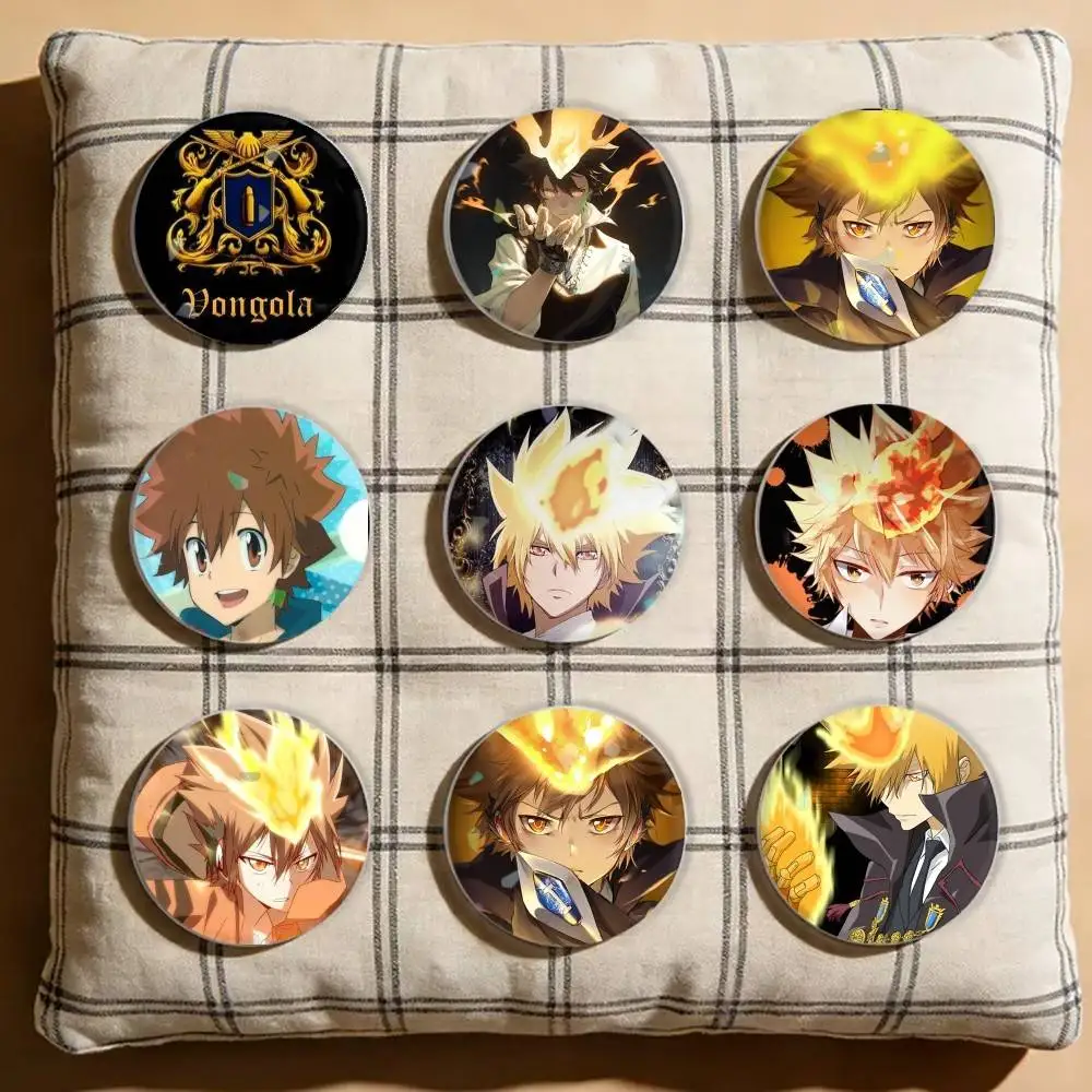 

Reborn! Sawada Tsunayoshi Laser Badge Creative Pins Brooch for Bag Clothes Hat Decor Gifts Fans Collect