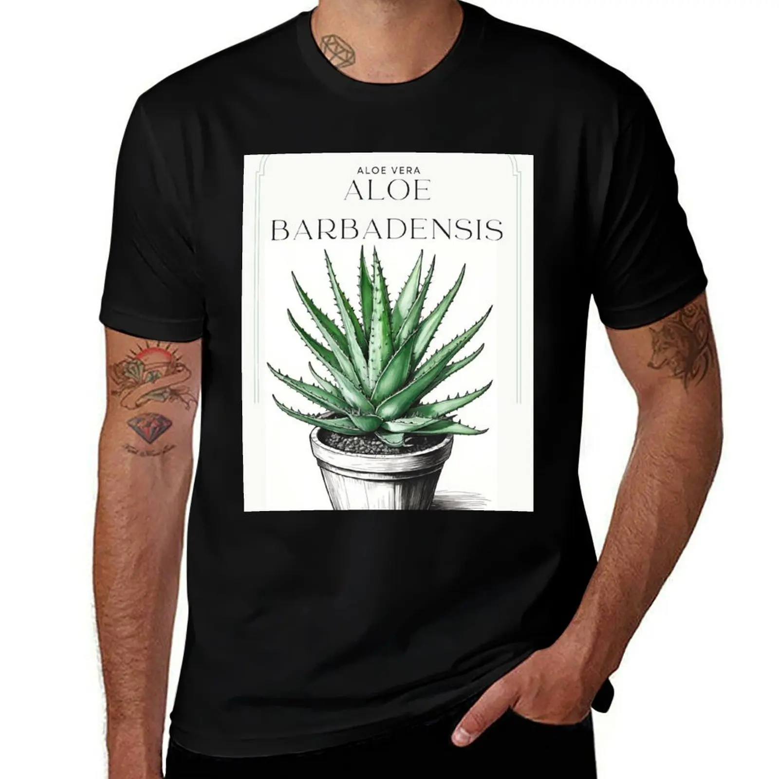 Botanical Aloe Vera in pot rustic sketch by CallisC Arts ????? T-Shirt Thanksgiving Day Tee Top