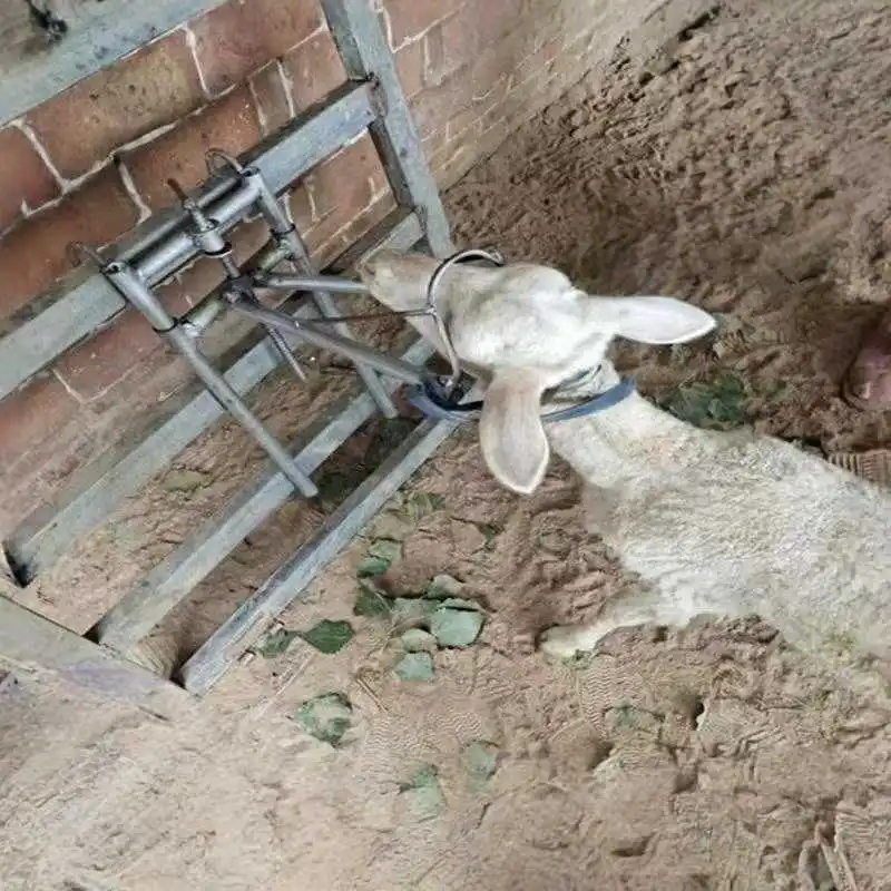 

Подходит для фиксатора головы мелкого овечьего скота.