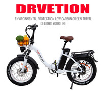 DRVETION 20 inch Bicycle 750W Electric Bike 7-Speed EMTB Ebike20AH Battery with Hydraulic Brake