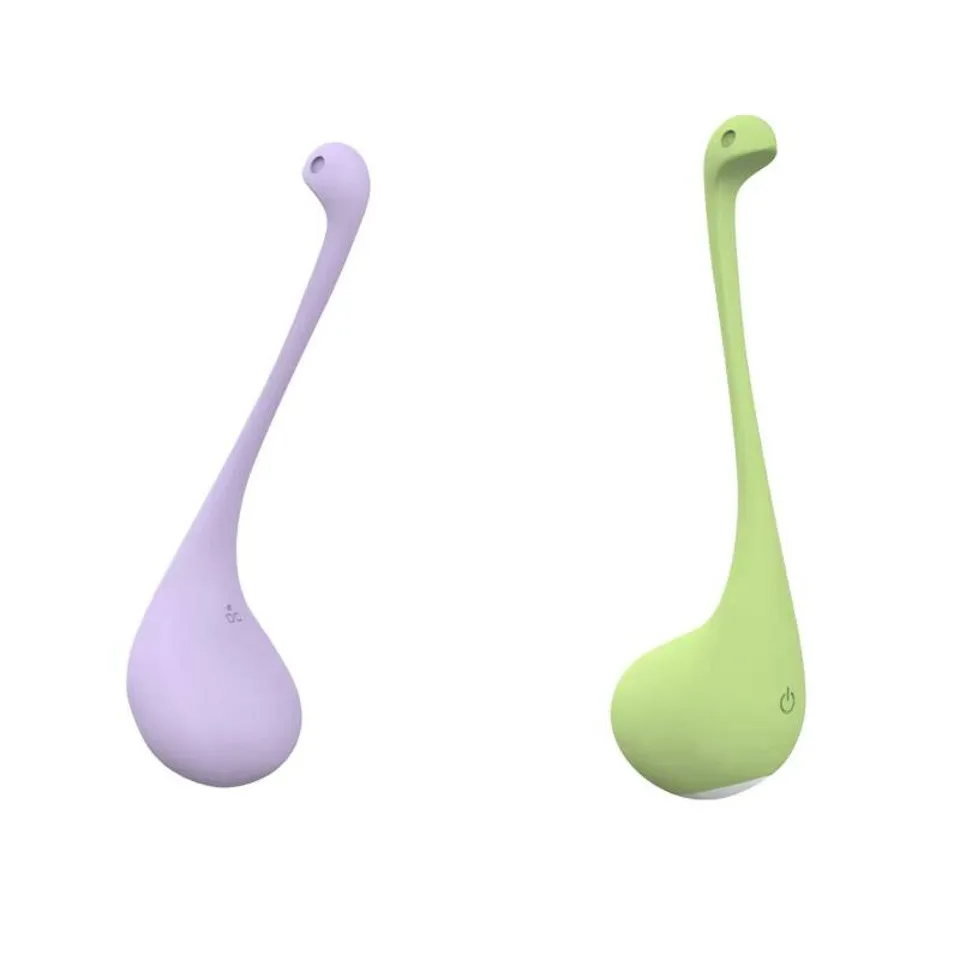 APP Remote Control Jumping Egg, 9 Vibration Modes, USB Rechargeable, Waterproof G-Spot Vibrator for Women