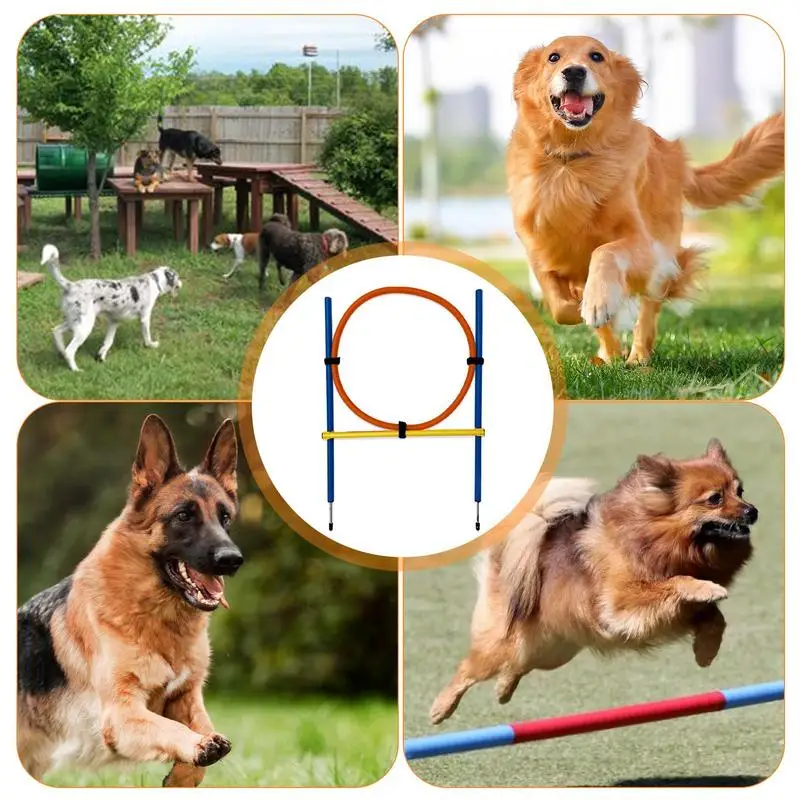 Dog Training Circle Dog Training Circle Outdoor Jumping Course Outdoor Jumping Course For Doggie Exercise &Workout With Storage