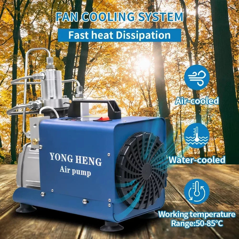 

110V 220V 4500psi AUTO PCP Pump High Pressure Air Compressor Electric Compressor Pump For Pneumatic Tank Set
