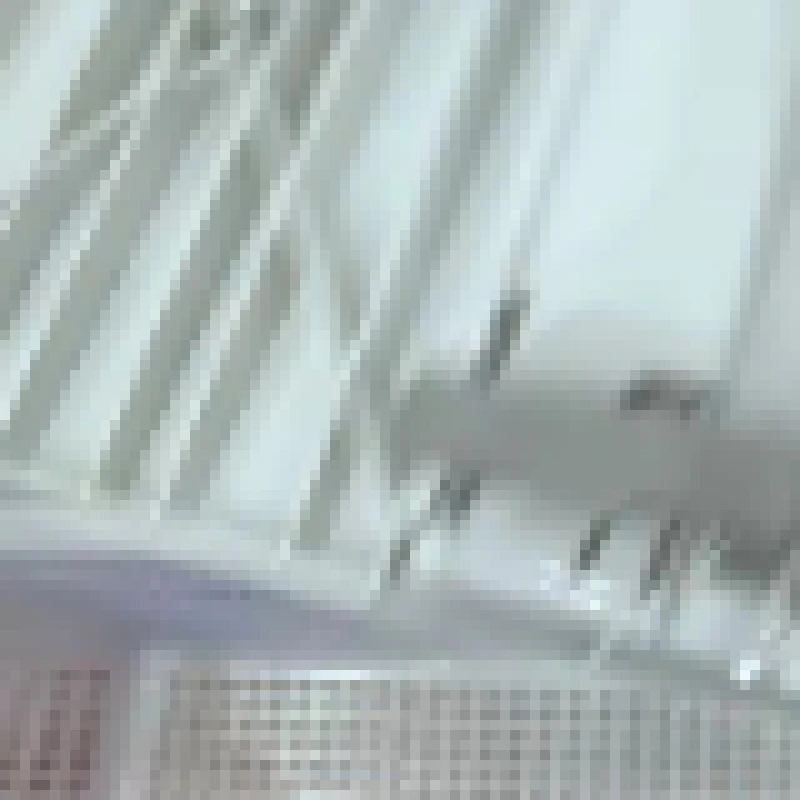 

5pcs RM1-2399-000 Paper Input Delivery Tray Assembly for Canon LBP 2900 2900+ 3000 / LBP2900 LBP2900+ LBP3000